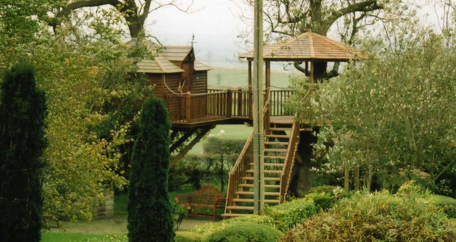Extended garden with large tree house